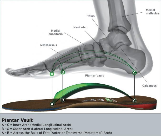 Generic orthotics online